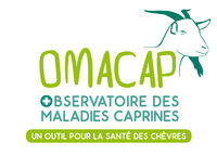 OMACAP